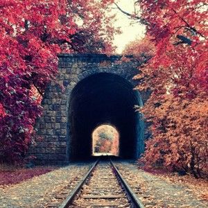 Meet your Posher, Zoe